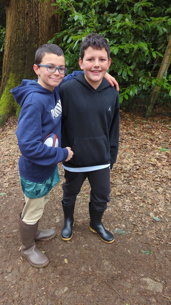 Handcross Park tweet media