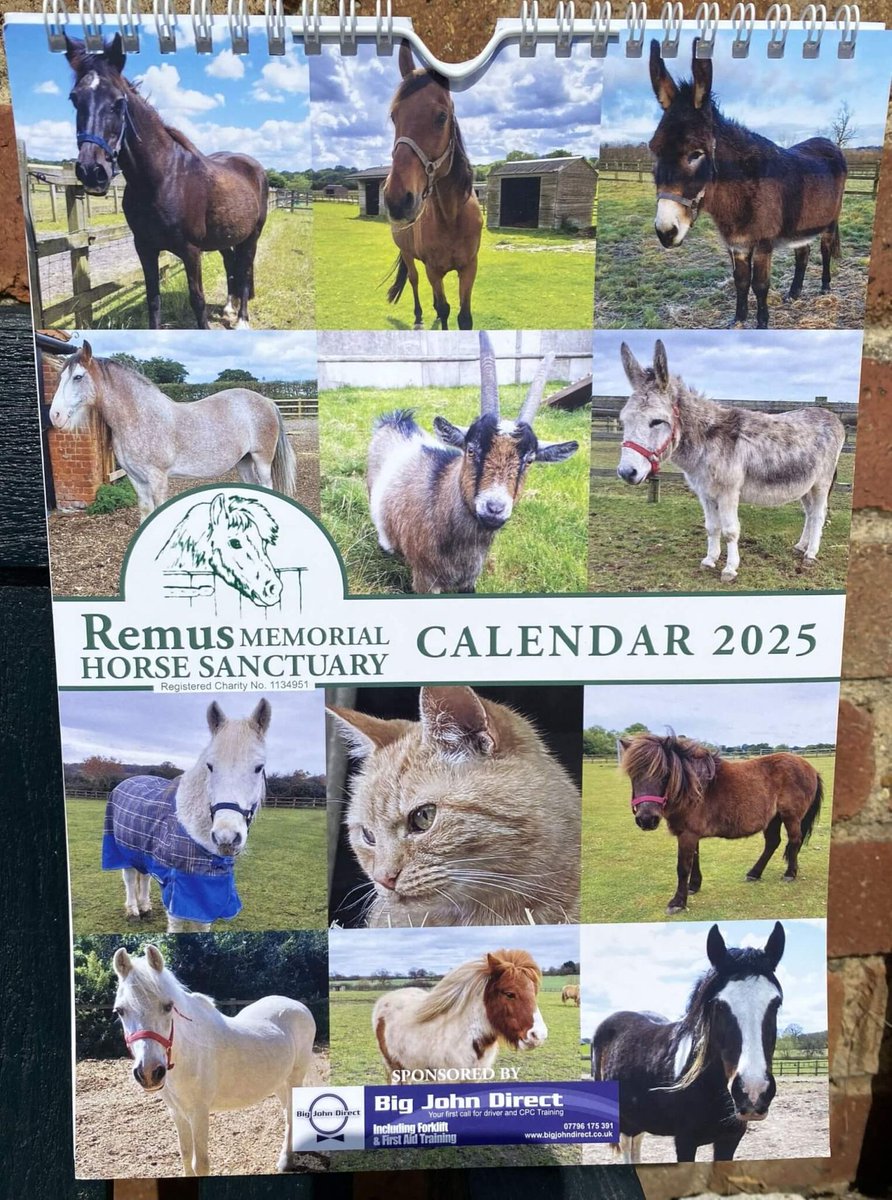 RemusHorse's tweet image. Shop our sale now! Not purchased a 2025 calendar yet? Now reduced on our website along with biscuits and shortbreads. Grab a bargain now! &amp;gt; remussanctuary.org/shop/ #Sale #Calendars #Biscuits #Shortbread
