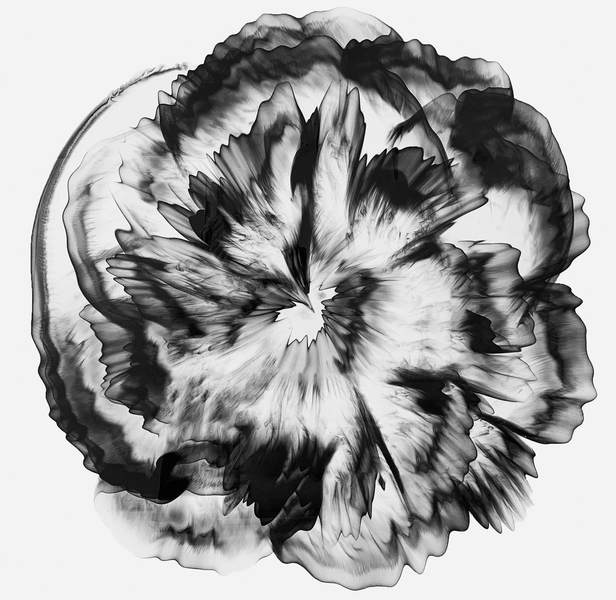 You have just one more week to view a dynamic exhibition at RAM! In Between: Contemporary Artists Working in Two and Three Dimensions showcases artists via multiple works made of different materials that reflect a fluency between two and three dimensions.

ramart.org/exhibit/in-bet…