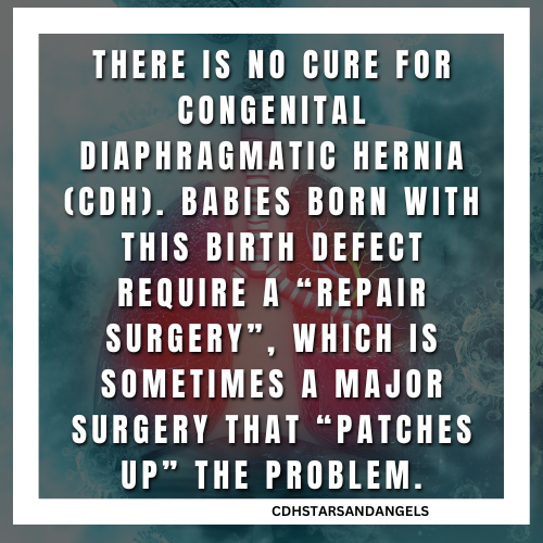 CDH Stars and Angels tweet media