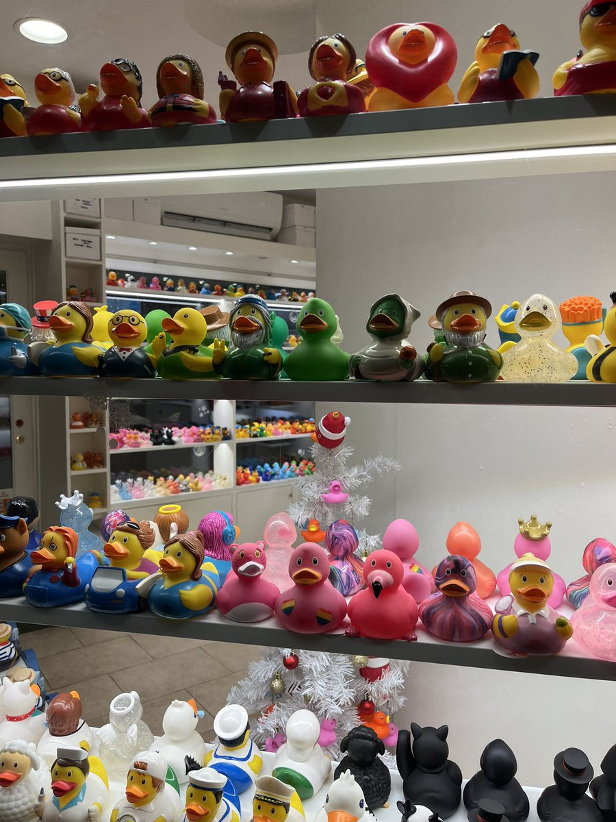 u won’t believe what I saw today