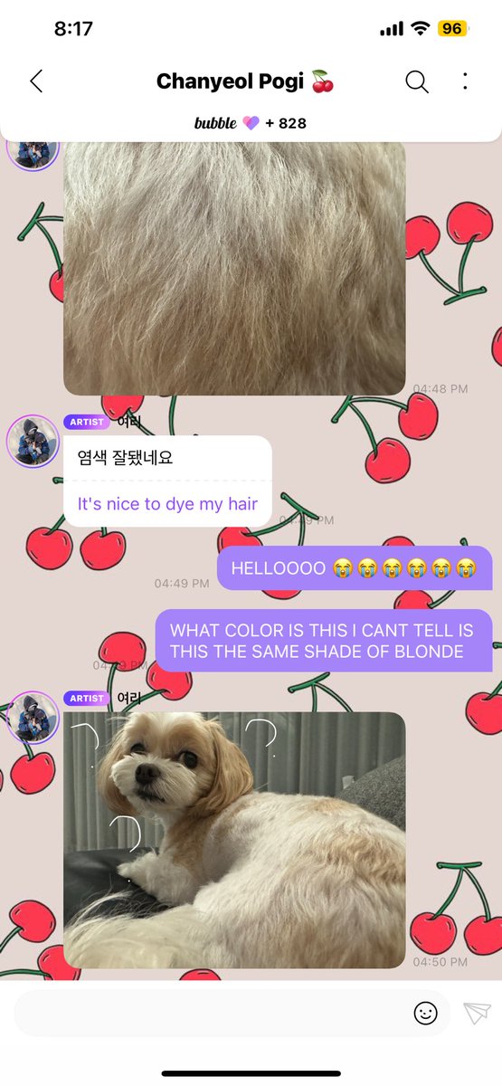 Chanyeolist1127's tweet photo. His bubble is always hilarious 😭😭😭 Last time he said he dyed his hair and sent a photo of it but it was just his puppy's fur 😭😭😭 https://t.co/GK1xRfO2yn