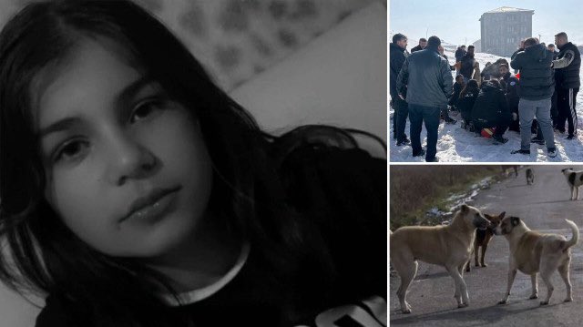 Dileminn_'s tweet image. Ooofff kanım dondu,daha kaç çocuk korku içinde başı boş köpeklerin saldırısına uğrayıp canından olacak.
Lânet olsun düşüncesi bile canımı acıtıyor, Eslem in korkusunu düşünemiyorum 😭😔

#Eslem 
#SokakKöpekleri 
#Hakkari