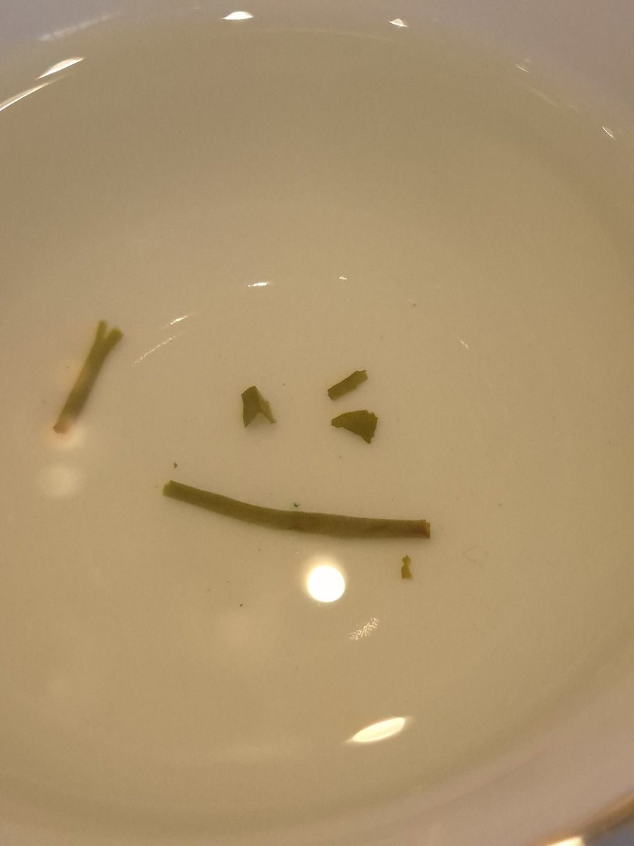 이 용티 닮은 아이는 뭐지