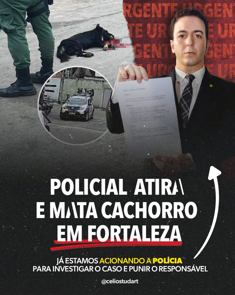 CelioStudart tweet picture
