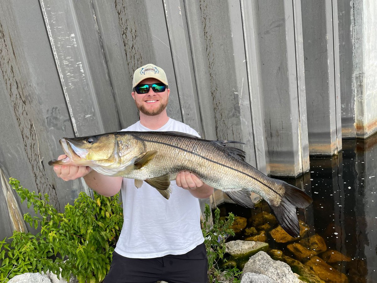 🎣😎 The Mullet Run tweet media