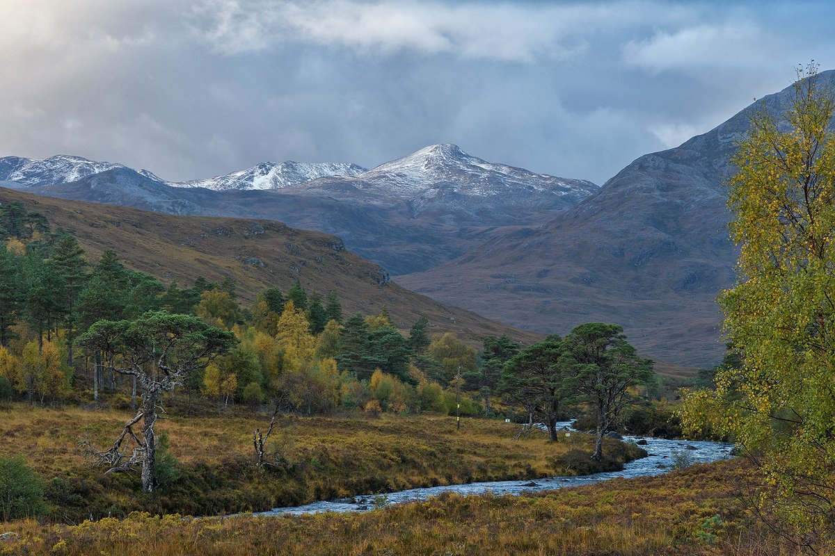 MaureenPlatts's tweet photo. Glen Torridon, NW Scottish Highlands https://t.co/XMgEoXY3WZ