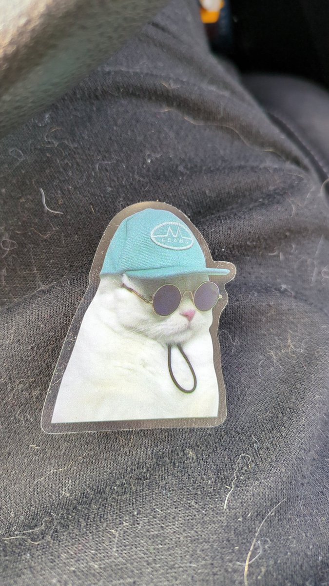 TinyisDank's tweet photo. @ThePoddyC  sticker at my local pet store lol https://t.co/OGIMKzQ3Mv