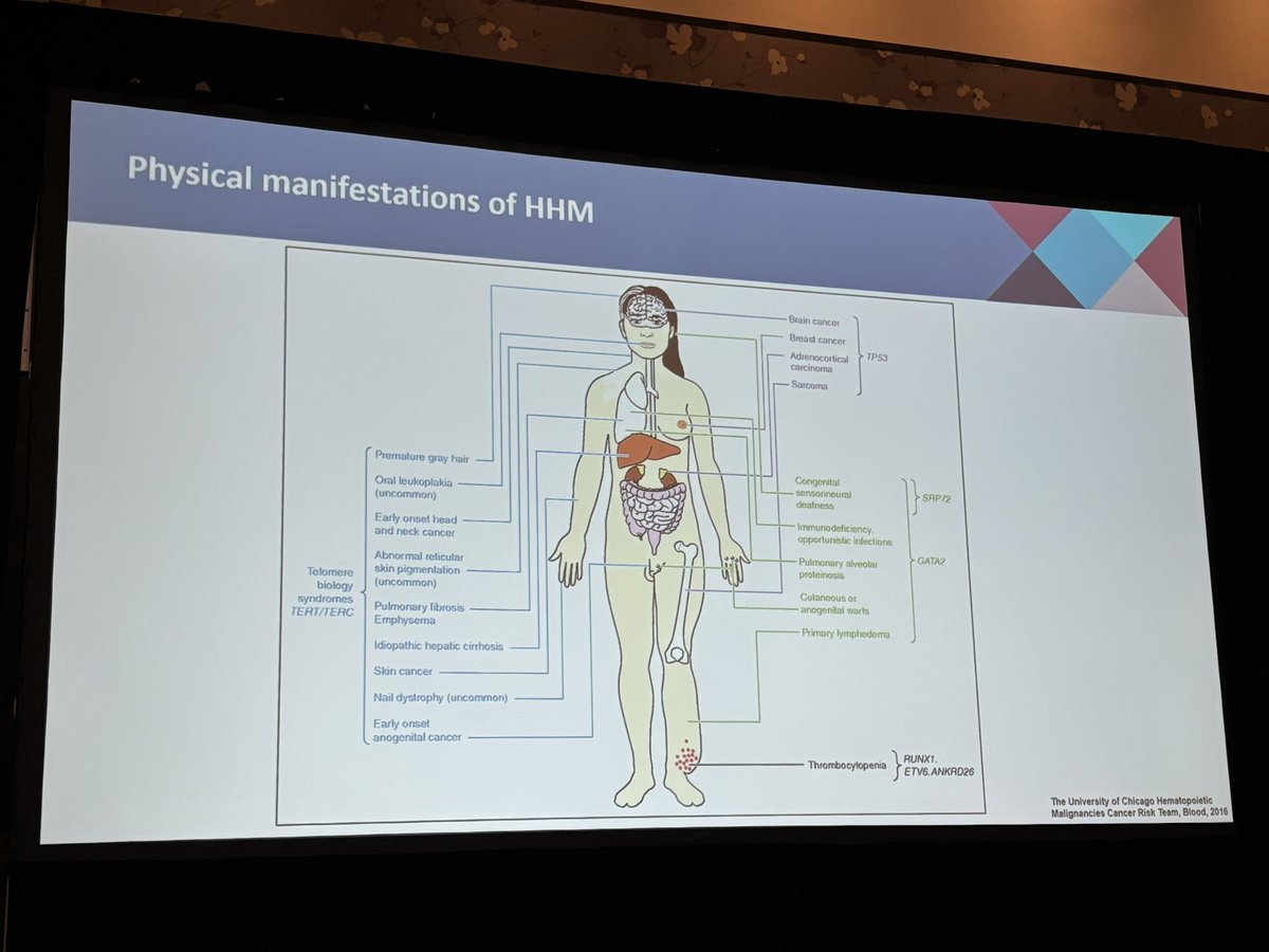 Yazan Madanat, MD tweet media