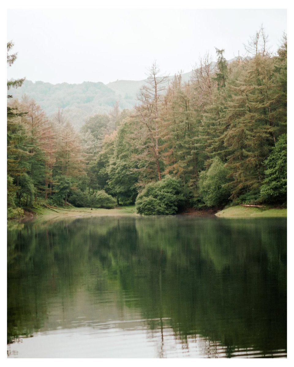 susogarc's tweet photo. I think I love photography 🎞️ https://t.co/YF60EMxPH7