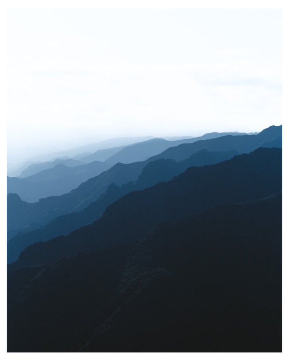 susogarc's tweet photo. I think I love photography 🎞️ https://t.co/YF60EMxPH7