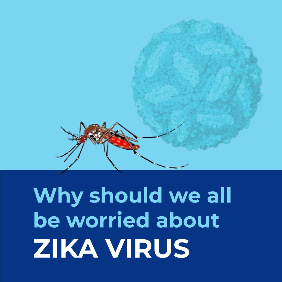 vinodscaria's tweet image. 🔴I have written about the #Zika virus in the past. This 🧵 is more on why we should be really worried about it in #India.
I hope people will take note. Time to act is Now !!