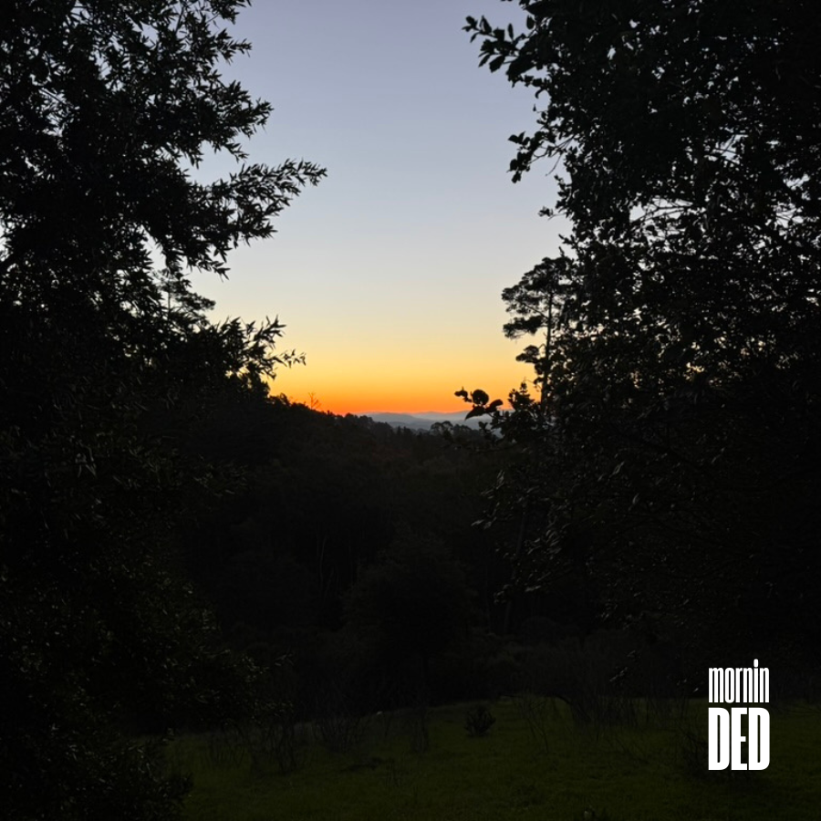 DEDonBASE's tweet photo. mornin' DED ☀️ https://t.co/Fbm8kRjcLz