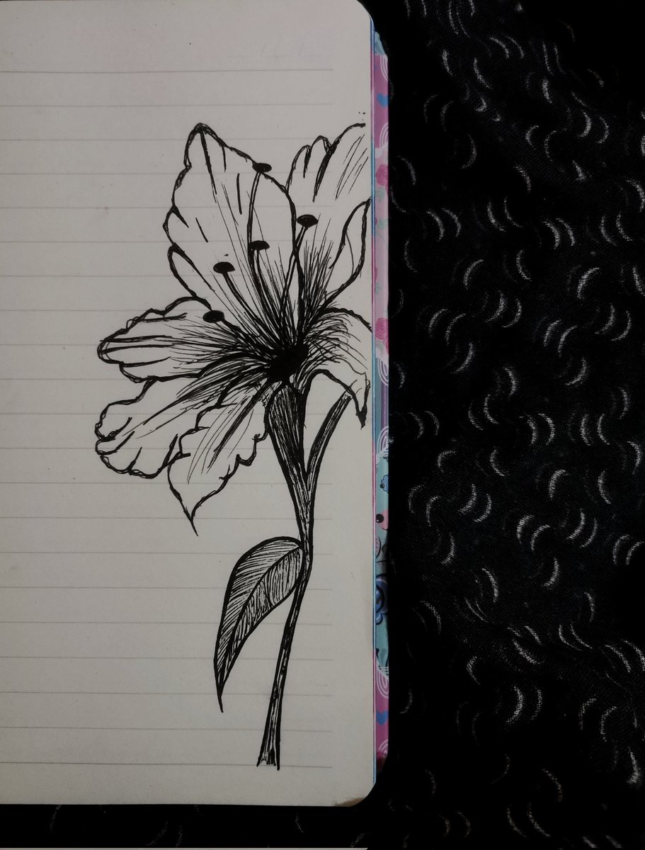 يتم فعل أي شئ ما عدا المذاكره🗿