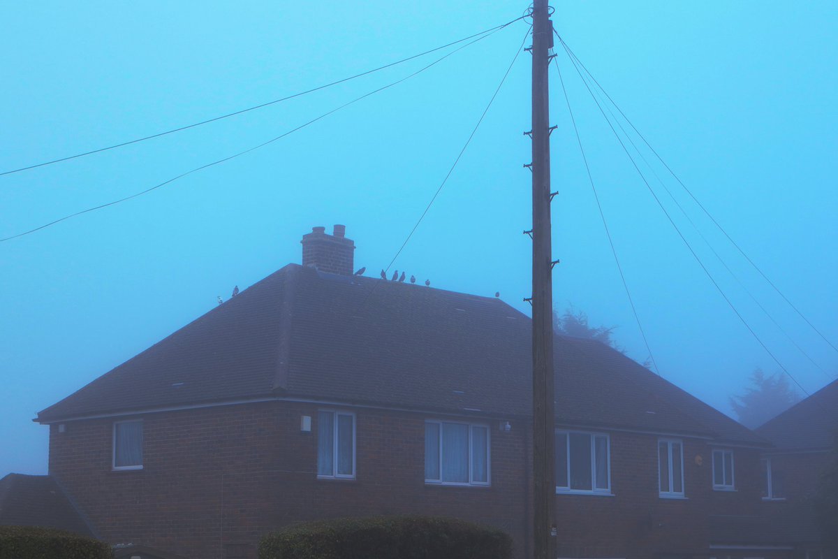 emilybakerphoto.eth tweet media