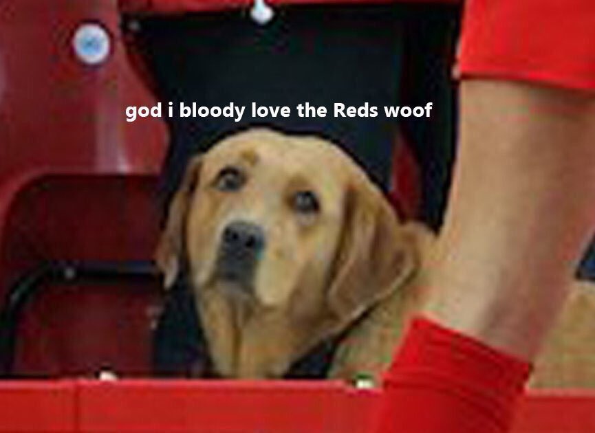 PNF 🌚 tweet media