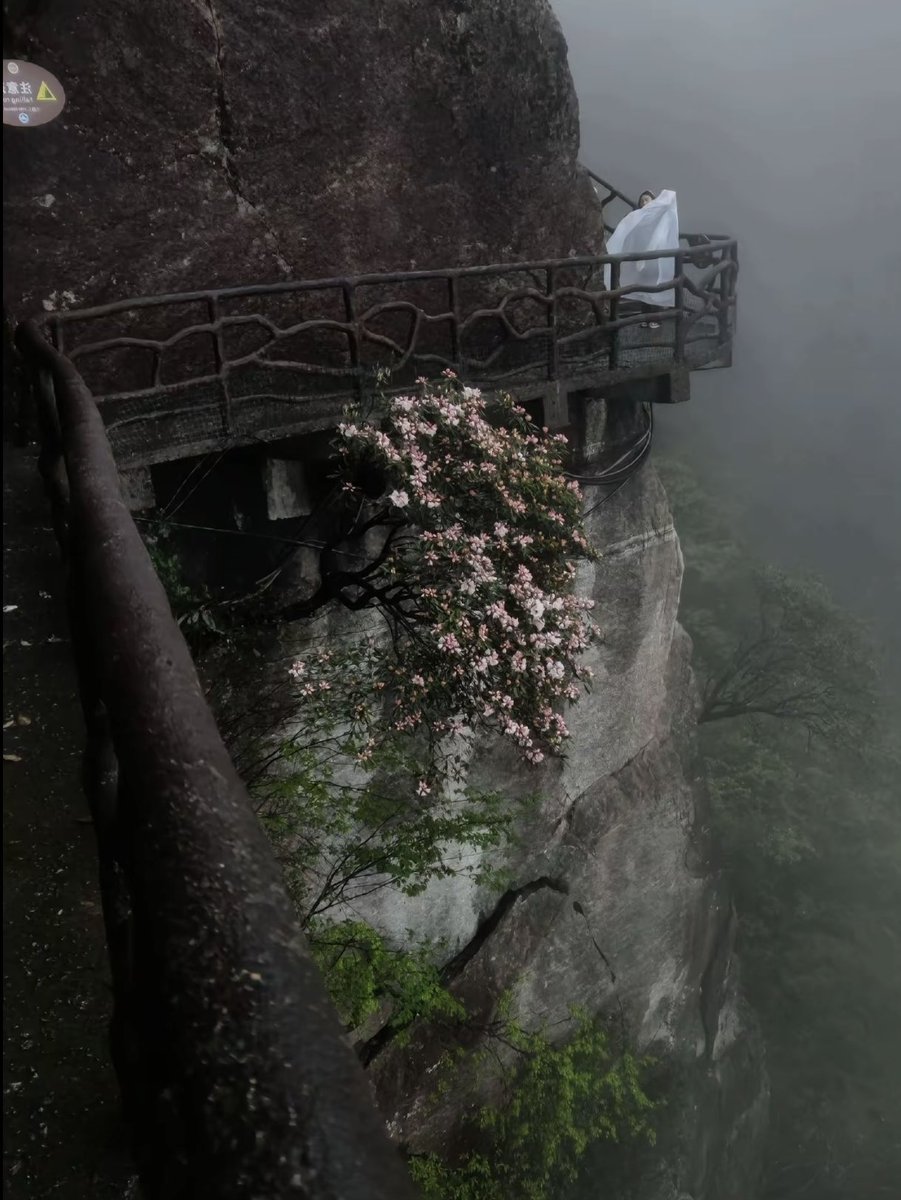 inreuo's tweet image. 