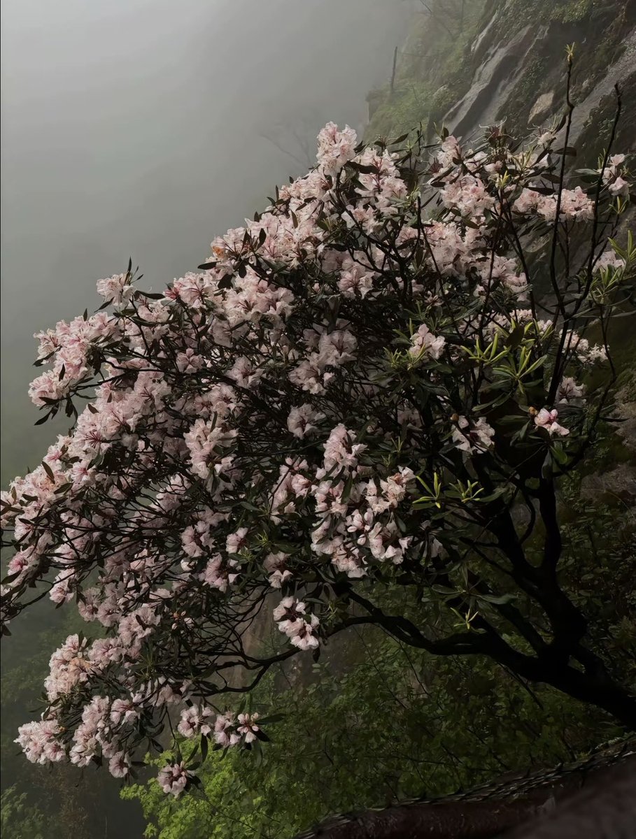 inreuo's tweet image. 