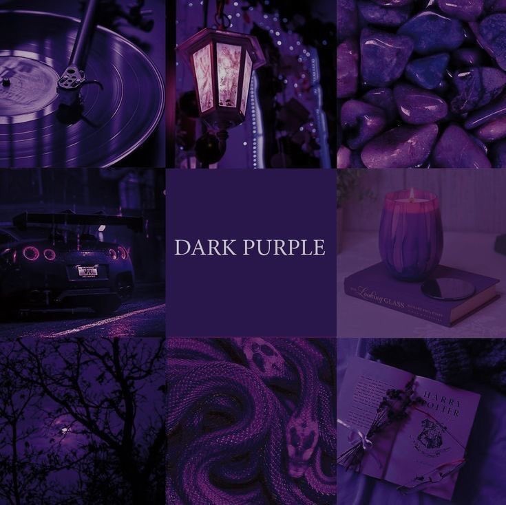 violet✧*。 tweet media