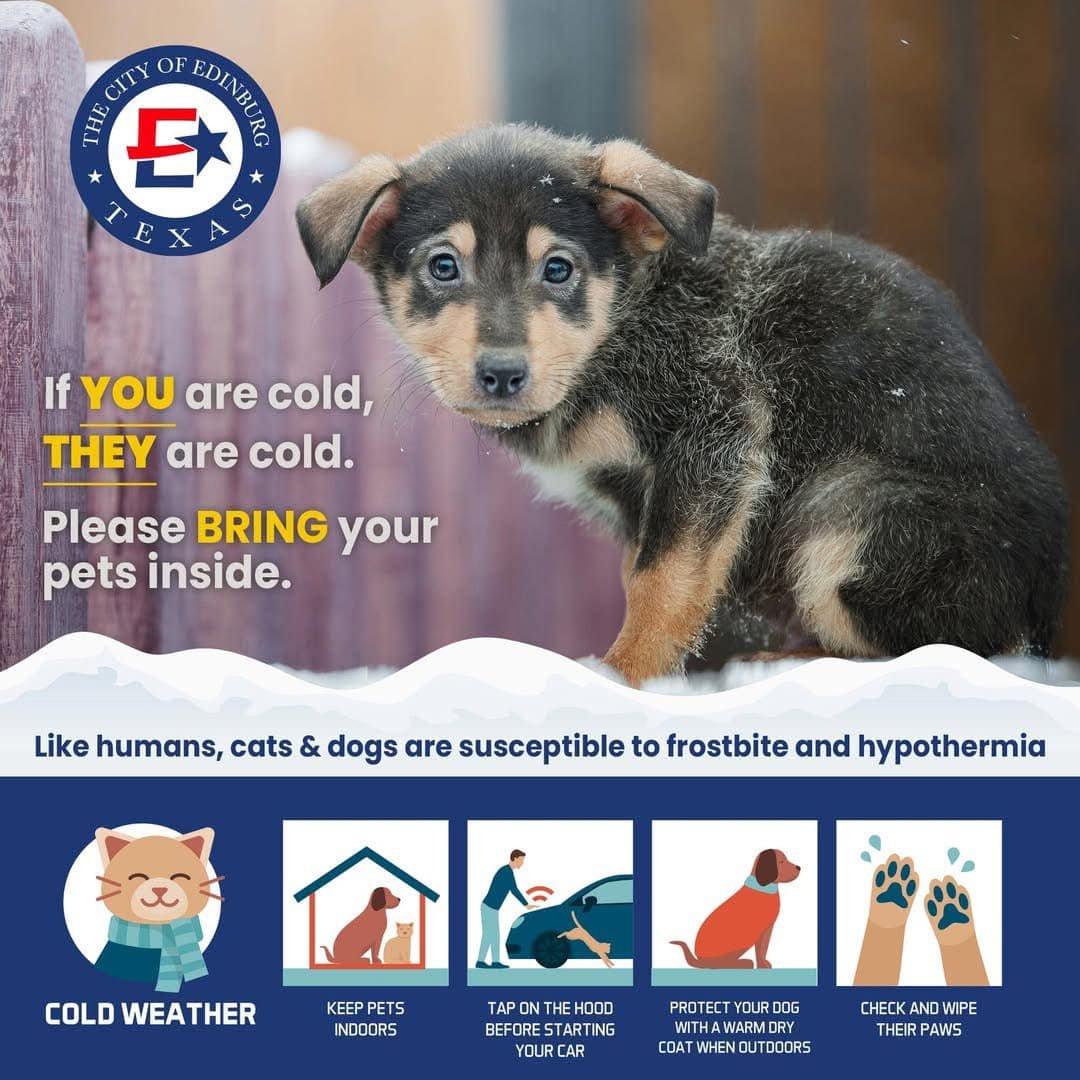 The cold and possibly wintry weather mix (sleet) is coming. Are you prepared? Please bring your pets inside beginning Sunday evening—since we are expecting some pretty cold temperatures.  Remember, if you're cold, so are they!