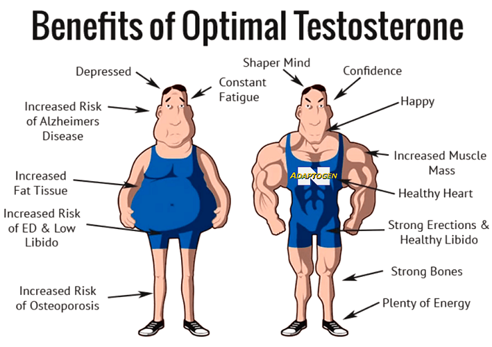 askMASS's tweet photo. The best natural way to enhance testosterone...
https://t.co/BonUJ4Uyh2 https://t.co/z2xovUNJvy