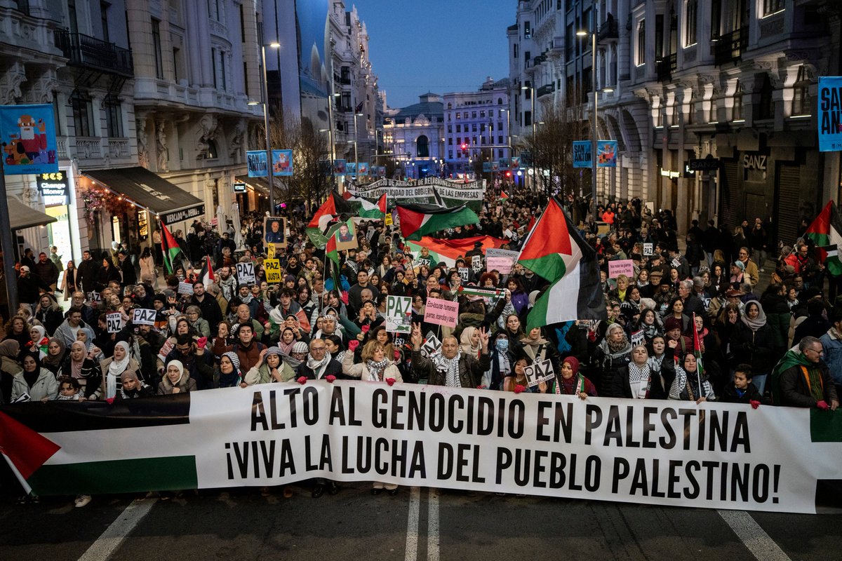 Olmo Calvo tweet media