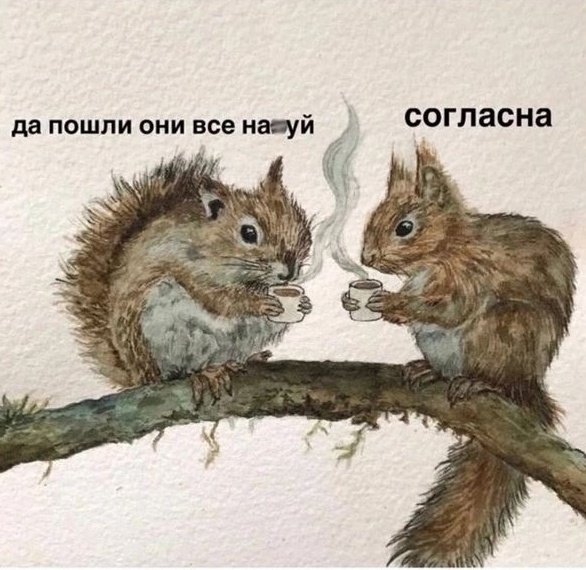 lipatenok's tweet photo. занимаюсь собирательством вот таких вот картинок по интернету. кидайте свои варианты в комментарии https://t.co/Y9jIAVPLrf