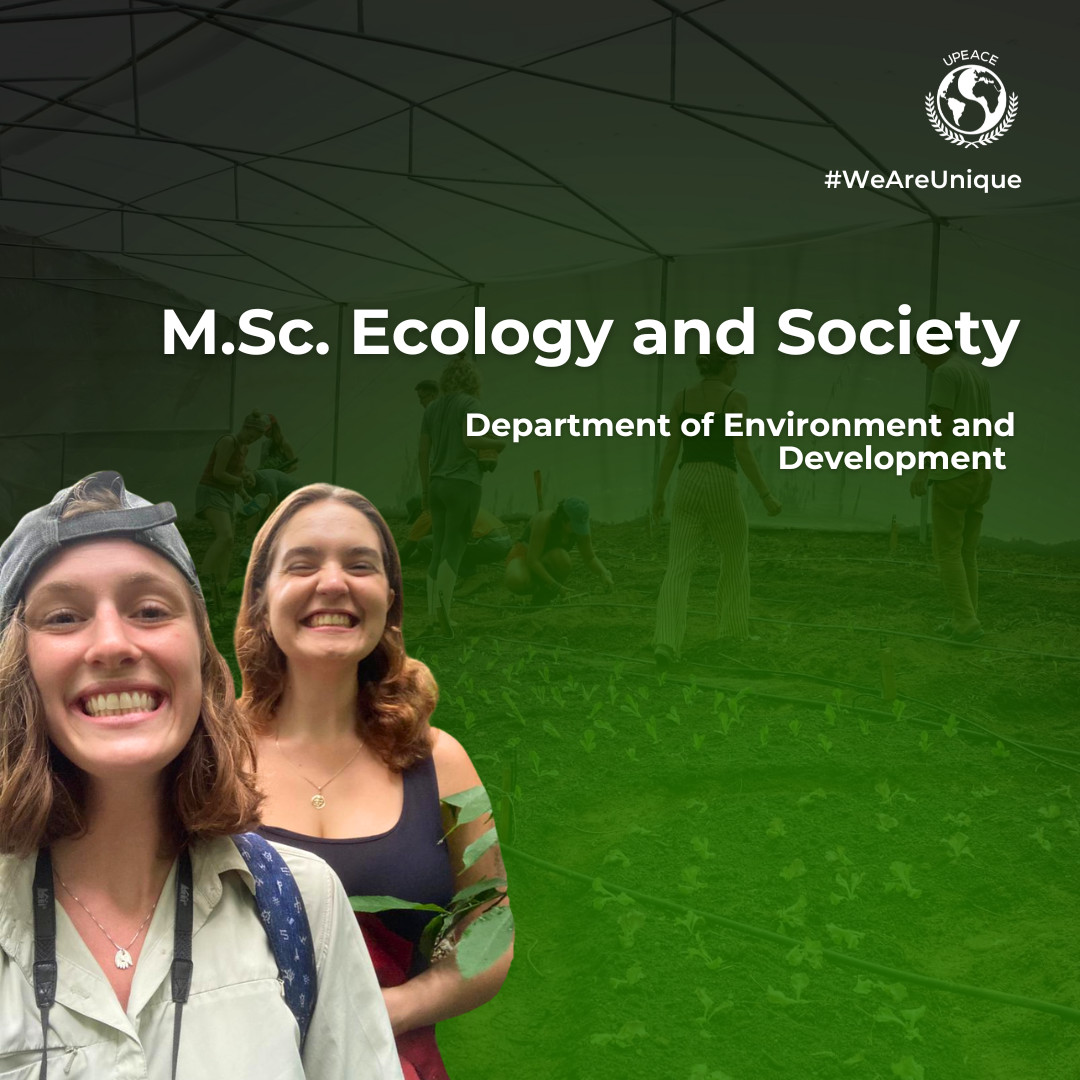 UPEACE's tweet photo. The world needs ecologists who think globally and act locally.
Our MSc. in Ecology and Society connects scientific inquiry with social responsibility on a campus surrounded by nature: https://t.co/lQ3h9oz0Yw
#WeAreUnique #Ecology #Peace #GraduateDegree #Education https://t.co/Ns42tPL9wr
