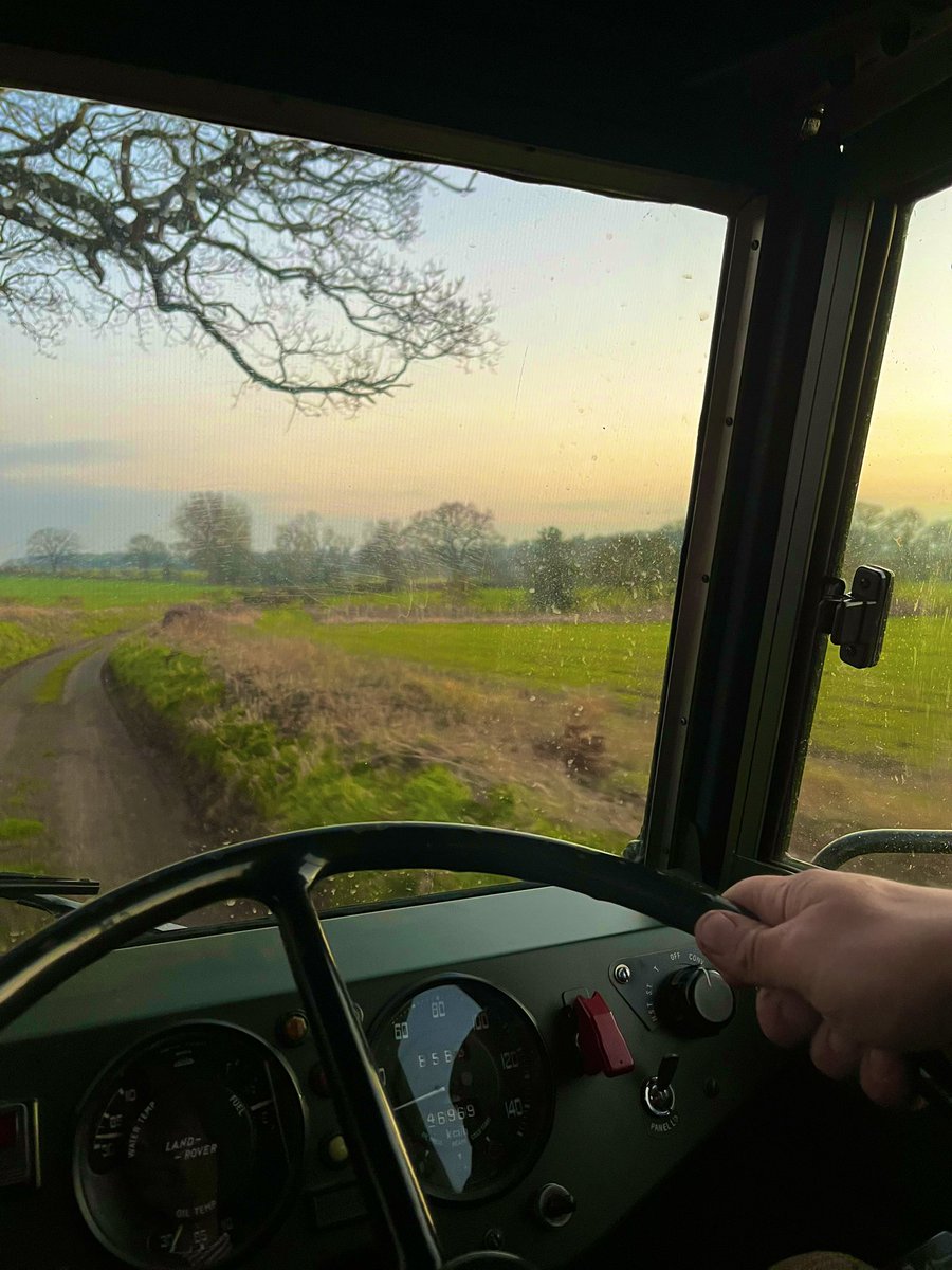 Sunset on our little farm shoot season 24/25.

Today 63 folk (🤯) turned out to join in what has become a village event.

71 head in the bag, with no game left afterwards. 

37 then ate at the local pub.

Proper sport, as it should be.