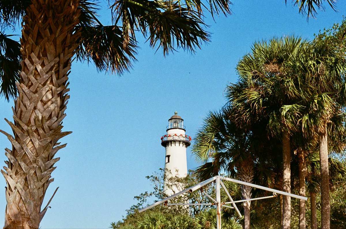 creespaschal's tweet image. Roll 2024-11-2 (Kodak Ultramax)