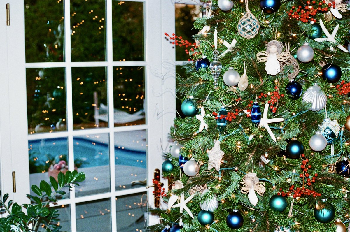 creespaschal's tweet image. Roll 2024-11-2 (Kodak Ultramax)