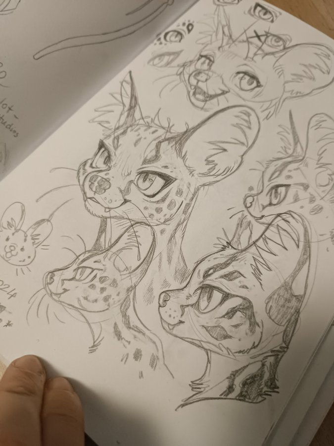 LittleRainART's tweet photo. My traditional sketches are my most popular posts and I got some asks if I do them for commissions.
I don't, since I cannot ship physical art.
But would anyone be interested in them still as high quality scan version? https://t.co/2QEf3p4o2J