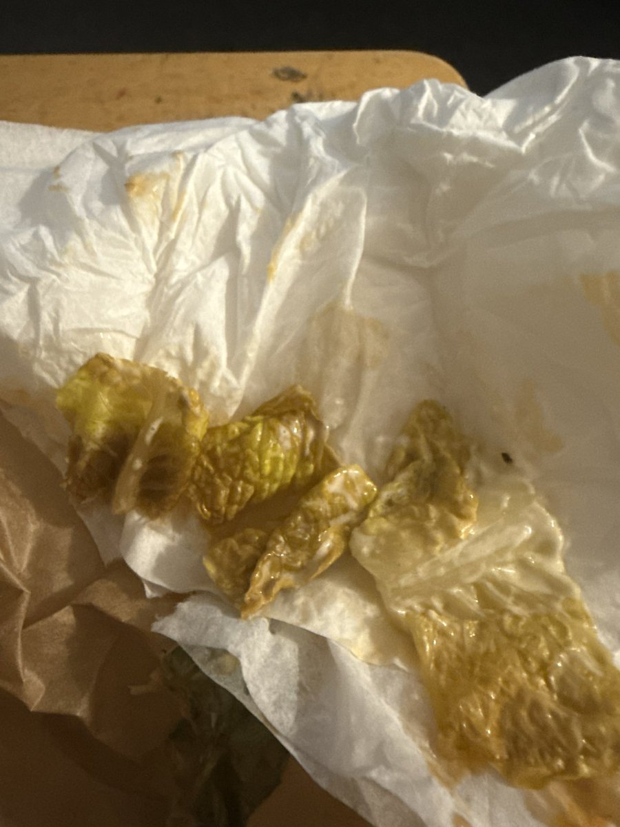 Ben Germin tweet media