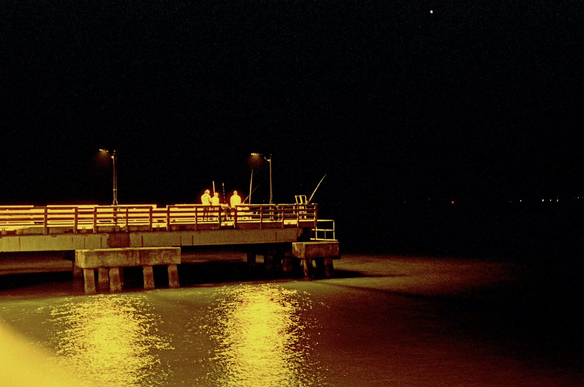 creespaschal's tweet image. Roll 2024-12-1 (CineStill 800T)