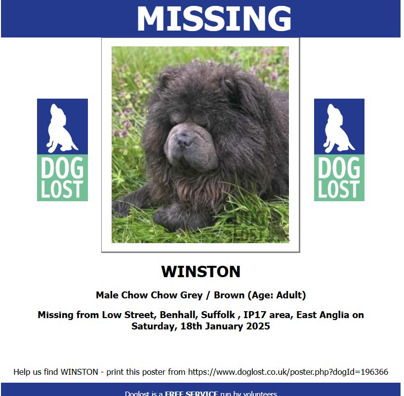 DogLost Norfolk Suffolk & Cambridgeshire tweet media