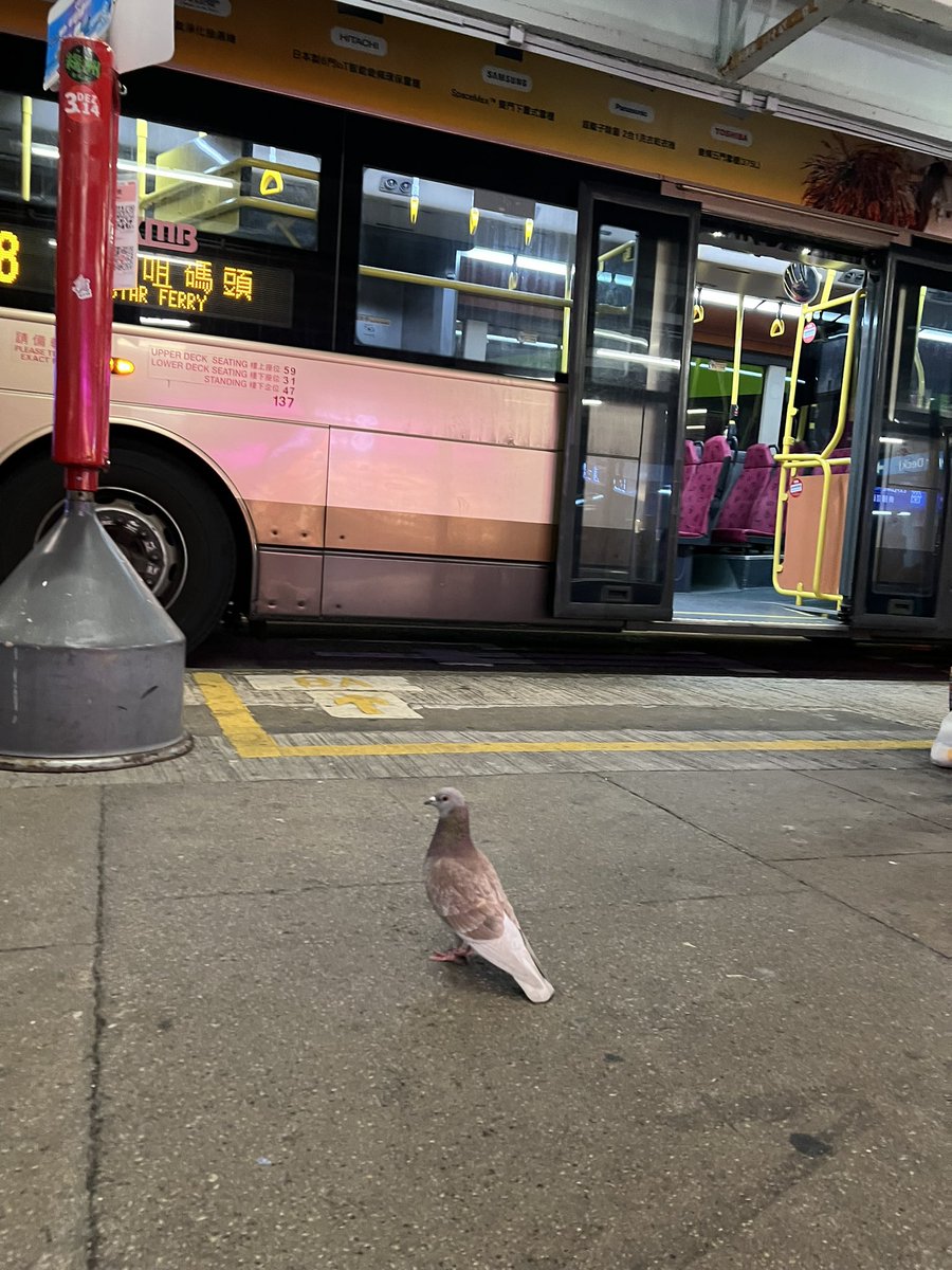 小狗y y tweet media