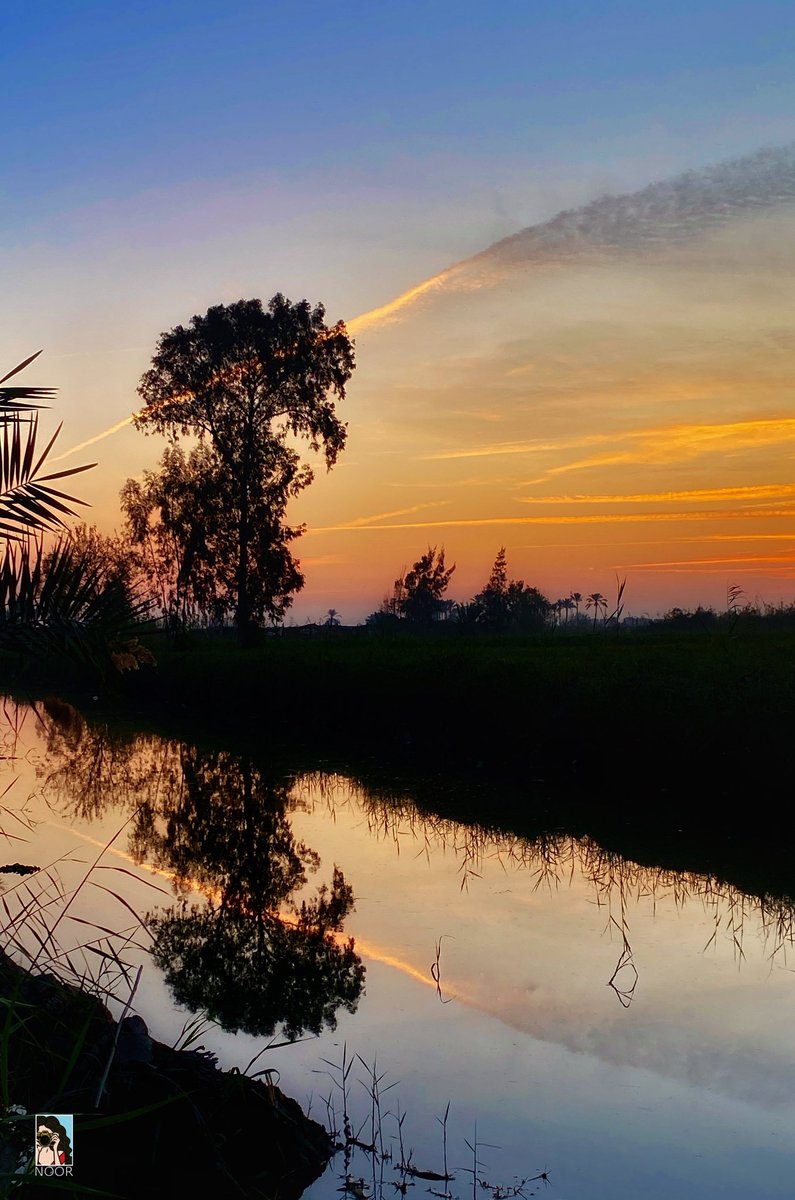 aihmadeabd70780's tweet image. اللهم افتح لنا مغاليق الأبواب وهيّئ لنا خير الأسباب وارزقنا خير الأصحاب واجعلنا من أهل التقوى وأولي الألباب  وأدخلنا الجنة بسلام بصحبة نبينا وحبيبنا محمد ﷺ