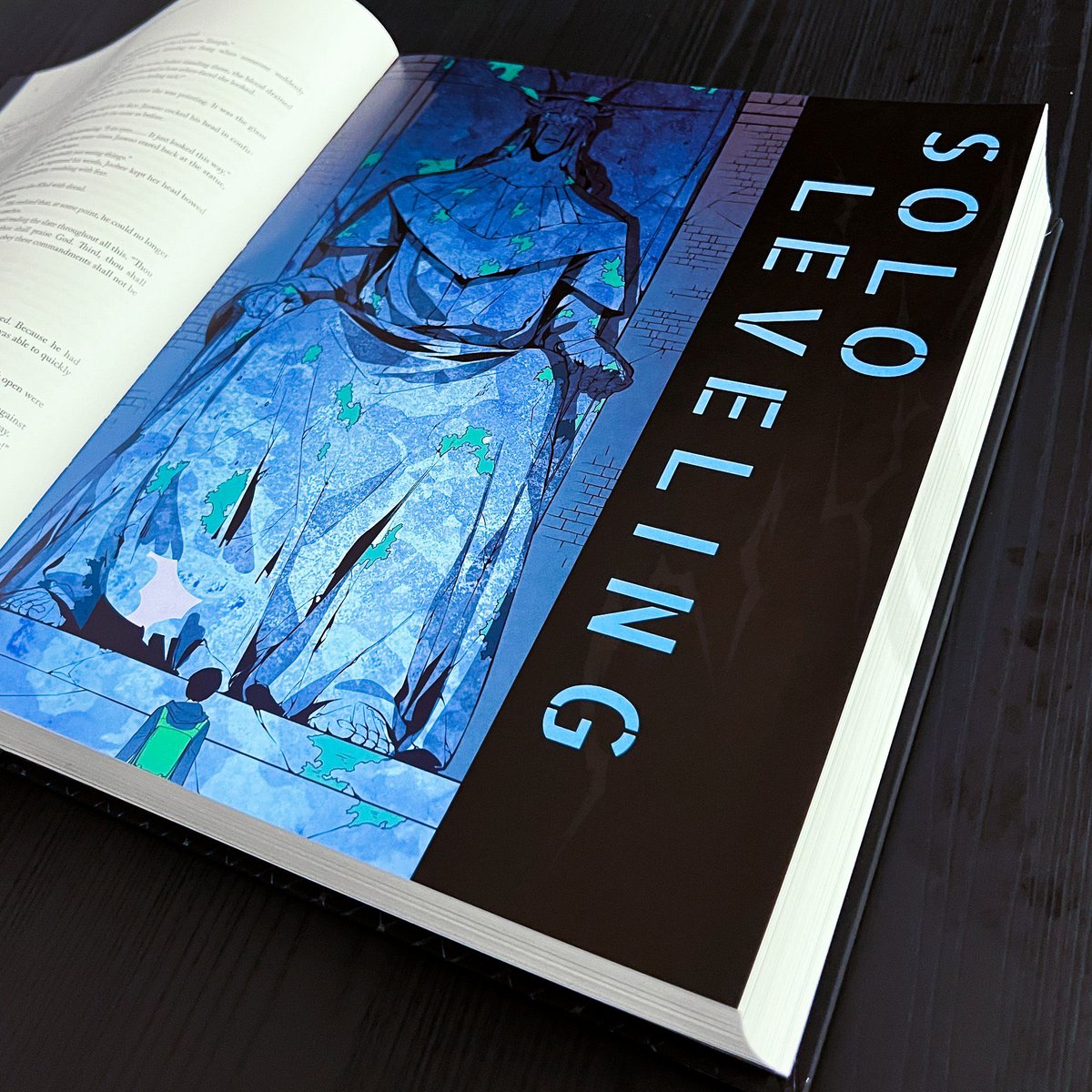 ⚔️ A R I S E ⚔️

We've given the original Solo Leveling novels an S-Rank makeover in the this complete omnibus volume! Over 700 pages chronicling Jinwoo's story, hardbound in matte and gloss with glow-in-the-dark elements, this is a must have for any Solo Leveling fan!

Level up