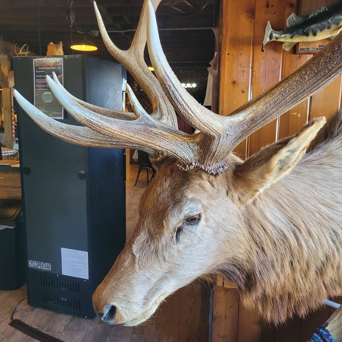 billeecox's tweet image. I #wouldlove to #eatoutofyourhand but #Imstuffed