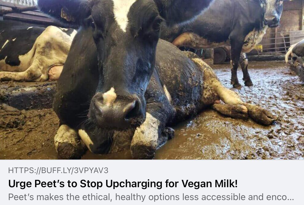 🚨 Action Alert 🚨 

"Cow’s milk is a product of the dirty dairy industry, which forcibly manually impregnates cows and kidnaps their babies."

Choosing the kind, plant-based milk option shouldn't cost more. Take action 👉 buff.ly/3VPYaV3