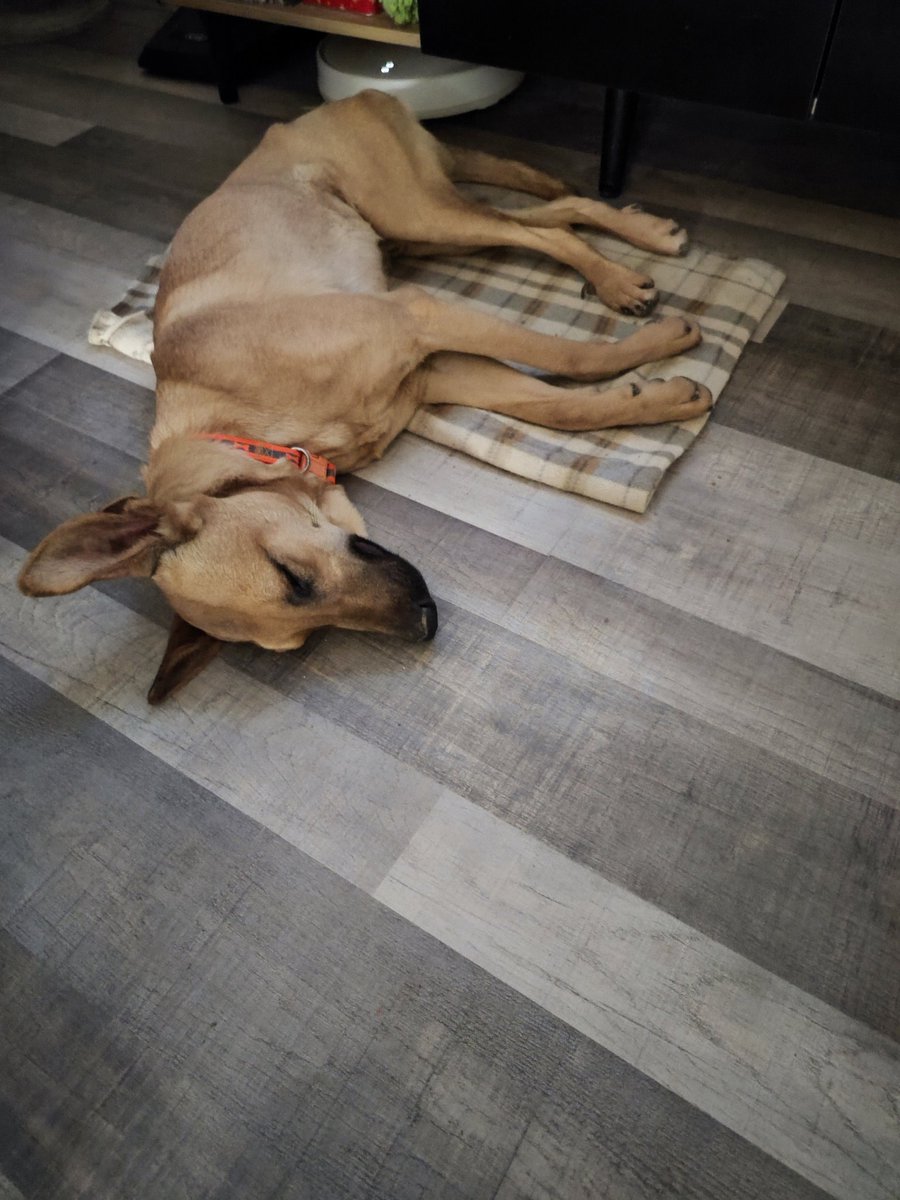 Ова па... Се изнамачи :)