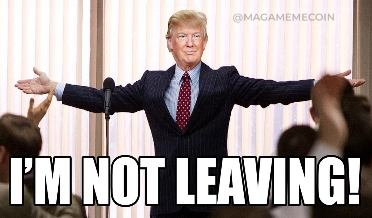 MAGA Memecoin tweet media