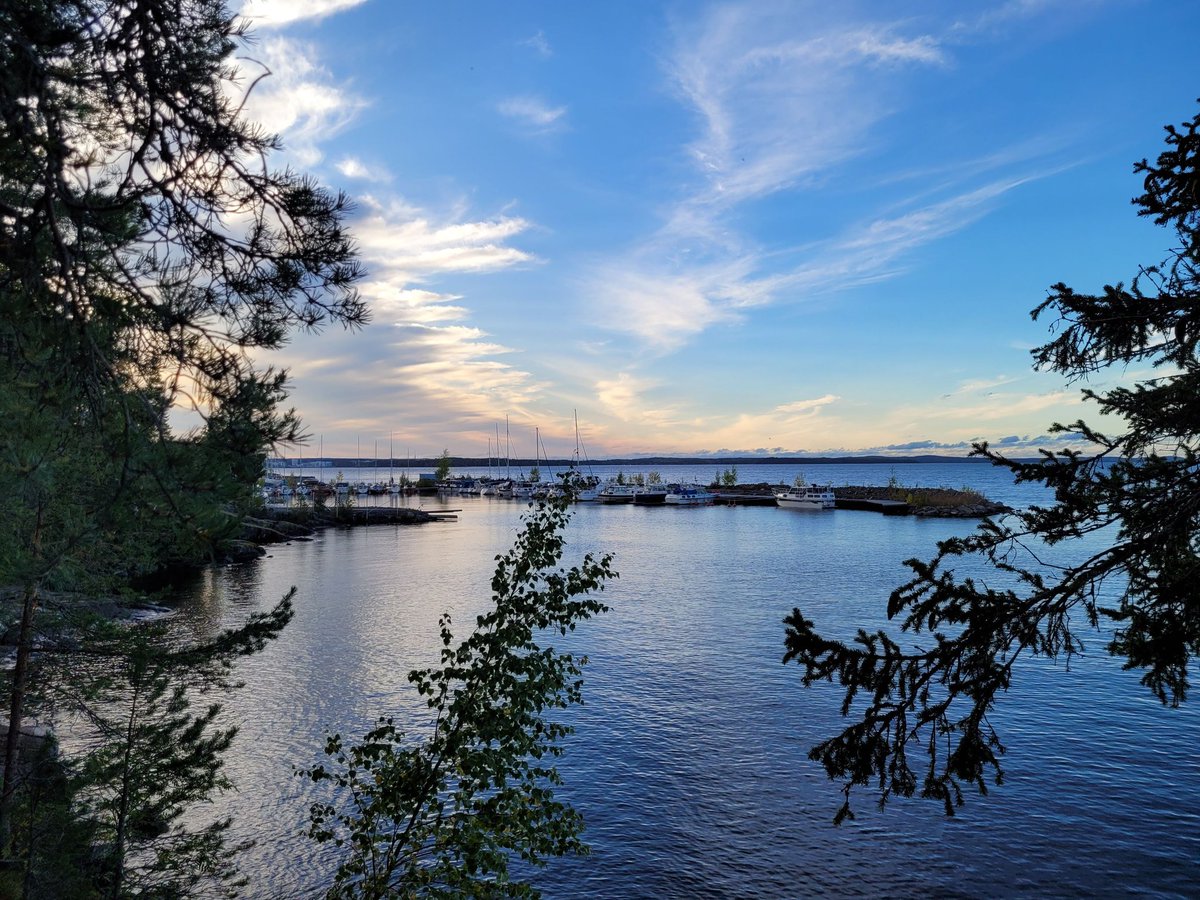 𝗠𝗮𝘁𝘁 tweet media