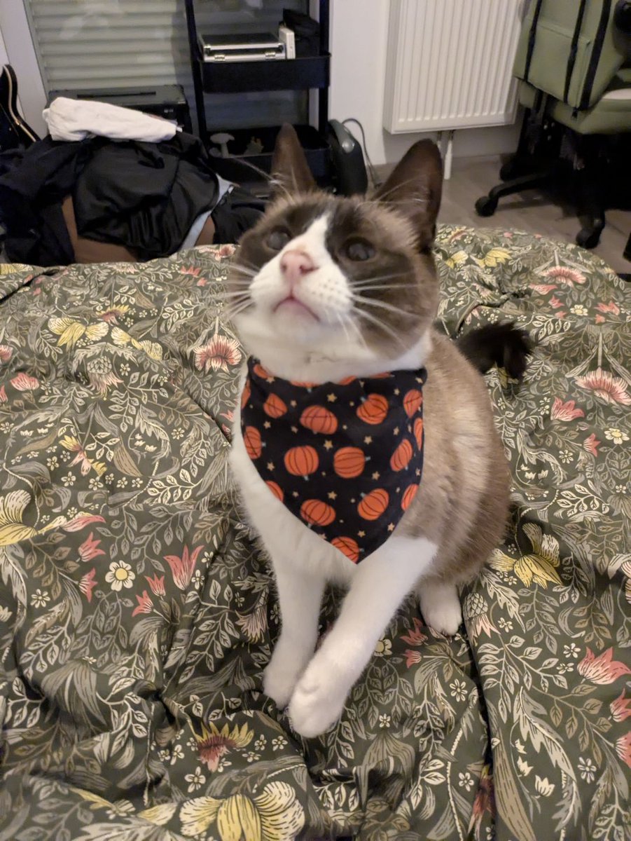 𝗠𝗮𝘁𝘁 tweet media