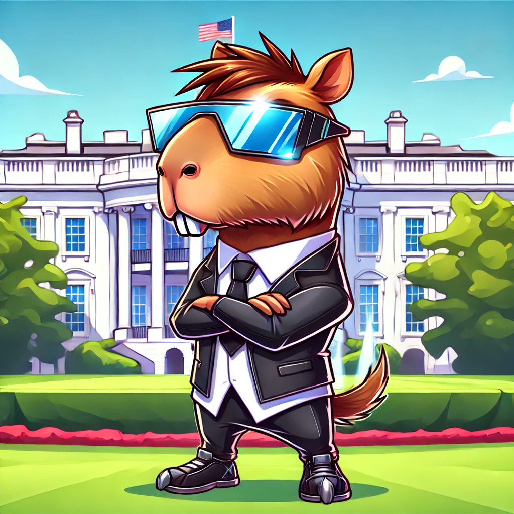 CAPYCOIIN's tweet photo. I was called to an important meeting in the last 24 hours. Joke! What happened in the crypto world, $TRUMP is a success! https://t.co/LSCyq1w7oZ