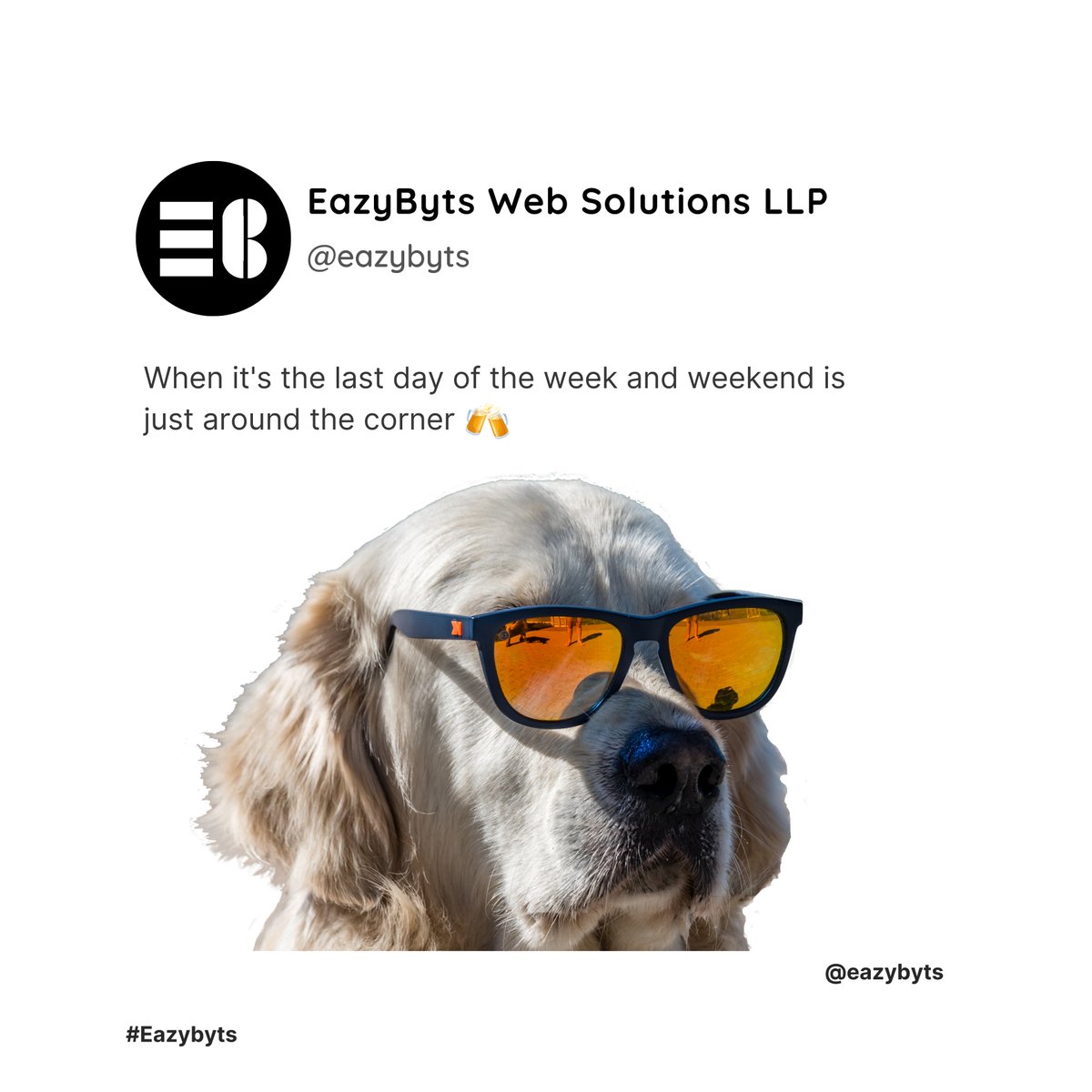 EazyByts Web Solutions tweet media