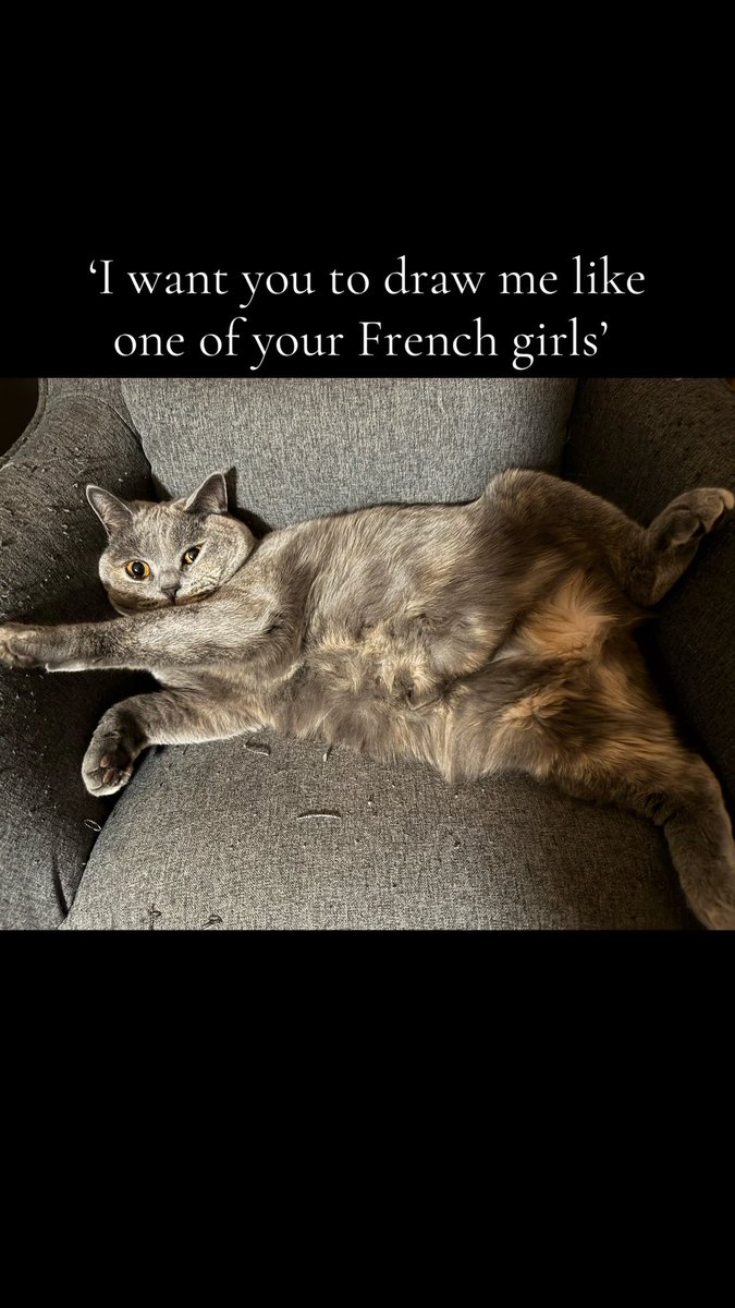 RuthieBach's tweet photo. @LeoDiCaprio My cat Olive as Rose 😂 https://t.co/ocn5ljkna3