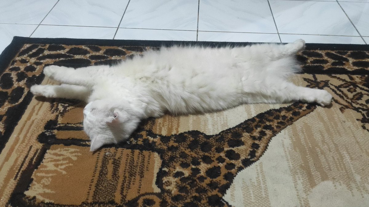 Mana gaya favoritmu? Kalau ak sih yang nomer 4