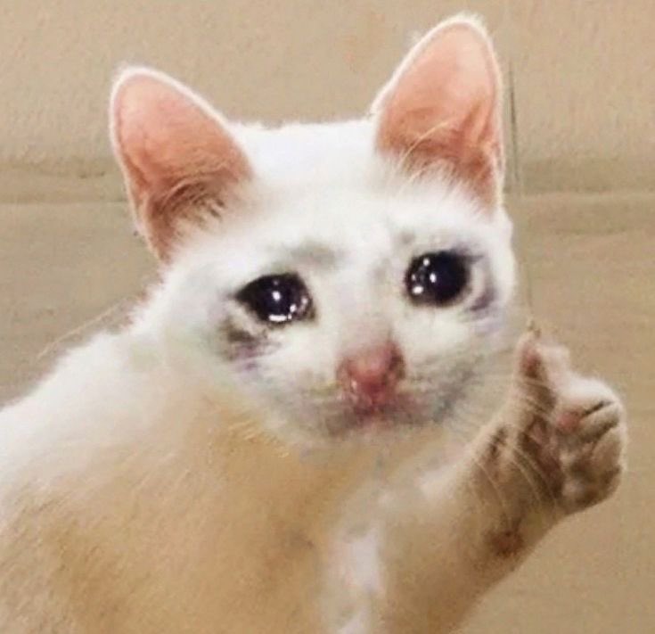 sono in quella fase del lutto di una persona con i genitori che abitano lontani dal resto della famiglia nella quale se un telefono squilla io inizio già a piangere