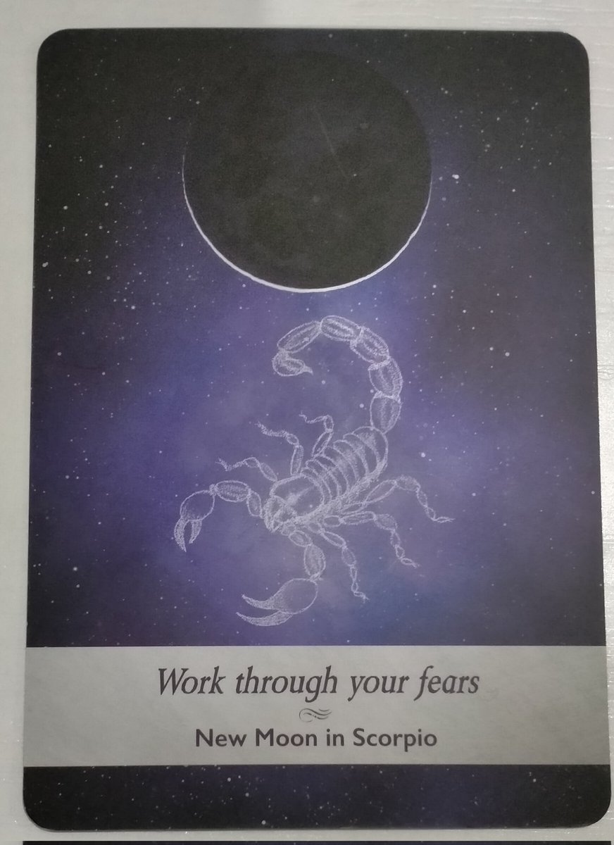 didsastrotarot's tweet image. #oracleoftheday ✨